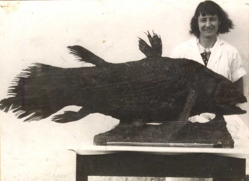 Marjorie Courtenay-Latimer and the Coelacanth, c.1938.